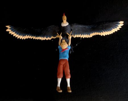 leblon kuifje condor na 001 leblon kuifje condor na 001