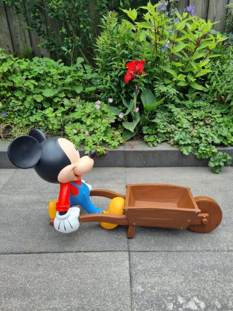 kruiwagen mickey na 007