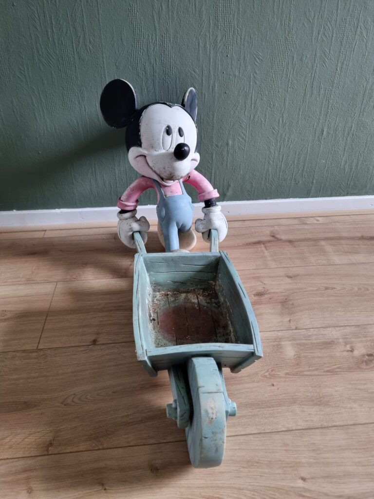 kruiwagen mickey voor 002