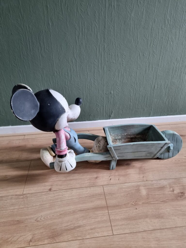 kruiwagen mickey voor 004
