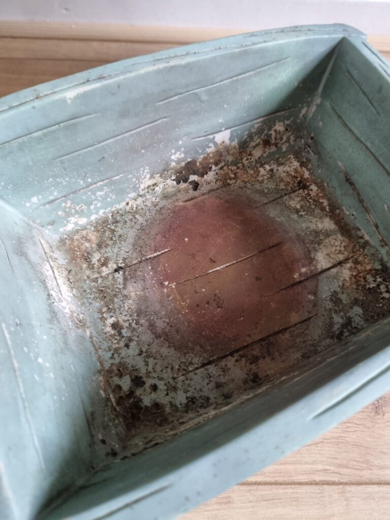 kruiwagen mickey voor 006