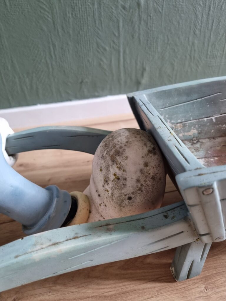 kruiwagen mickey voor 007